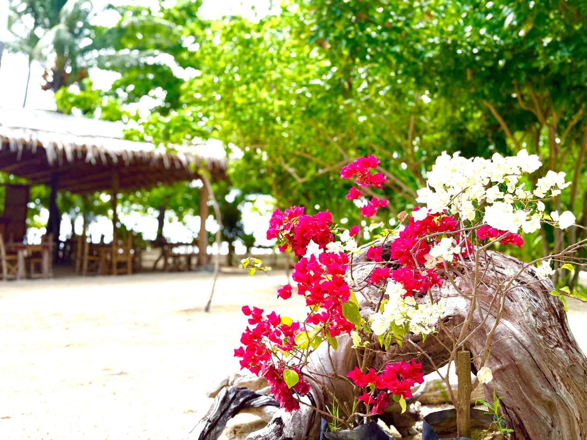 Hotel Dosplaya Ecocamp El Nido Esterno foto